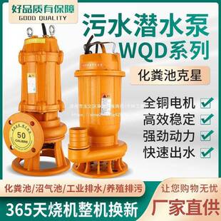 污泵化池抽粪家用水220V排污粪泵农用抽5水机2寸高扬REV程2.寸潜