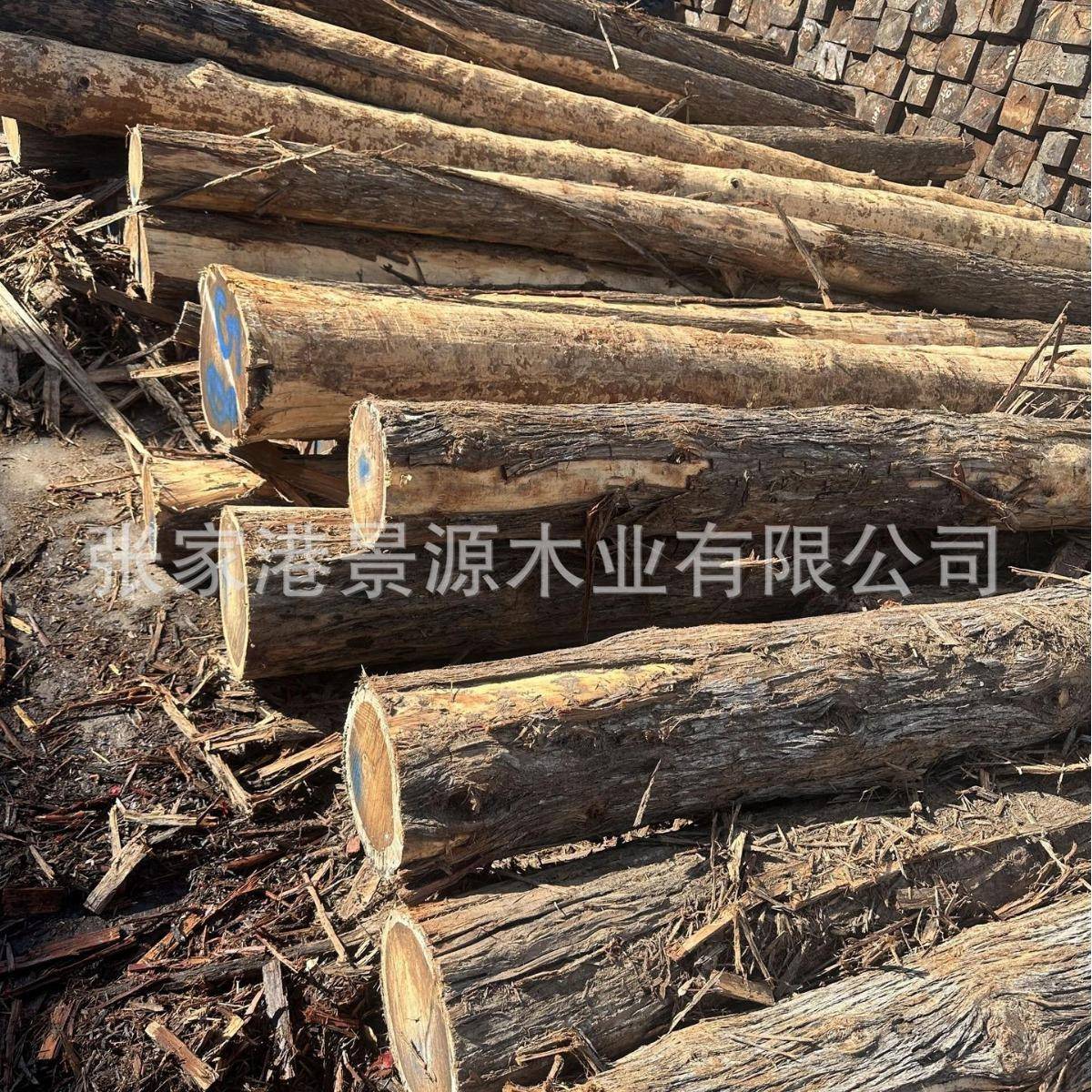 油柏原木适用于室内装修古建筑园林工程料棺材料防腐木工艺
