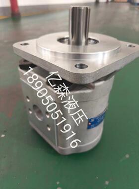 合肥赛源SY齿轮泵CBG-2063-BFHL长源型液压泵高压大排量齿轮油泵