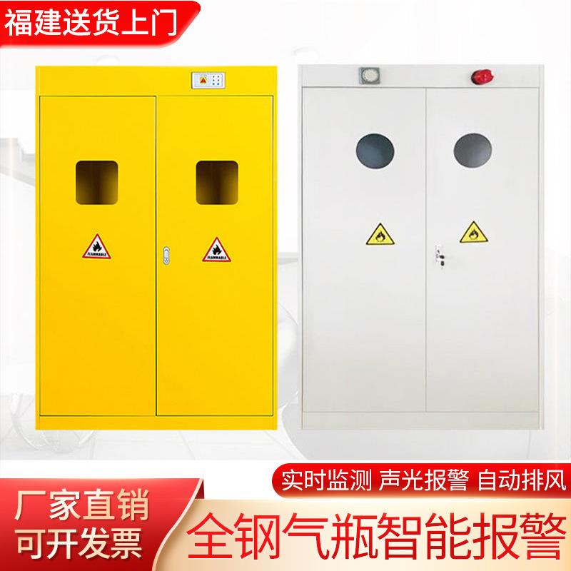 全钢双瓶三瓶报警器固定架实验室储存柜工业防火防爆柜液体气瓶柜