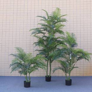 仿真凤尾葵天竺葵北欧绿植客厅橱窗装饰绿植盆栽盆景造景植被树