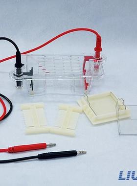 北京六一迷你琼脂糖电泳仪（注）DYCP-31BN