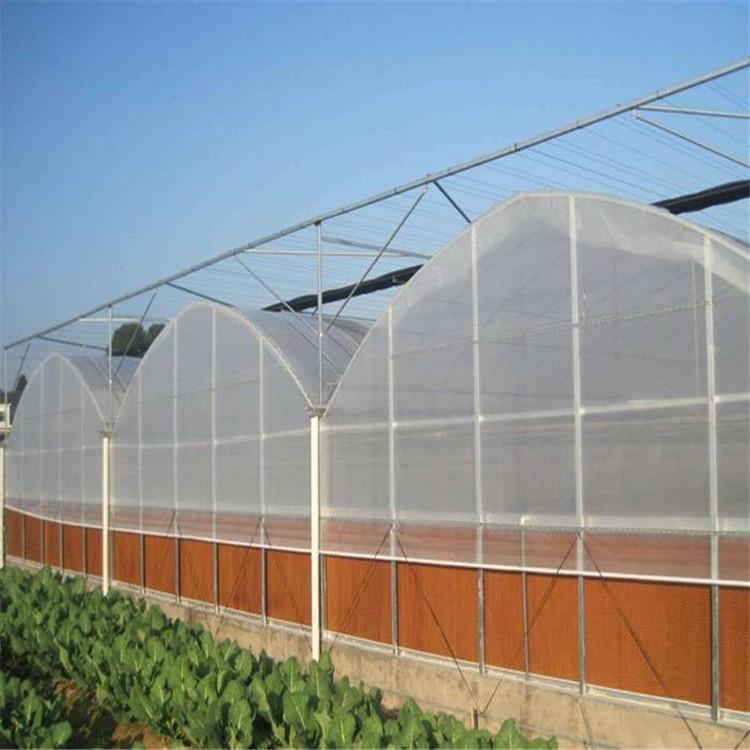 山东生产钢管骨架设计建造连体po膜覆盖薄膜温室菊花育苗基地