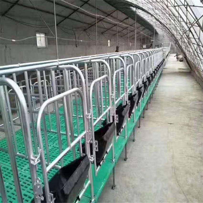 落地式母猪产床猪用定位栏限位栏养猪场带食槽养猪设备母猪定位栏