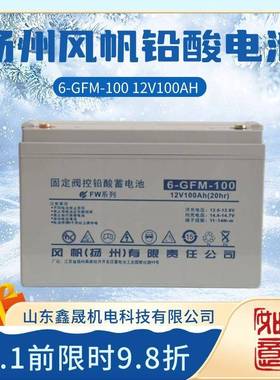 12V铅酸风帆蓄电池65AH100AH120AH38AH免维护直流蓄电池