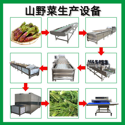 山野菜漂烫杀青加工线 速冻山野菜加工设备厂家 胡萝卜洋葱漂烫机