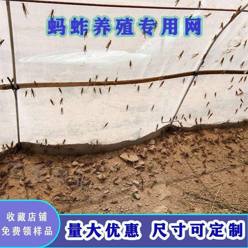 蚂蚱养殖大棚专用平网网片蝗虫胡蜂养殖网加厚透气纱网抗老化防晒