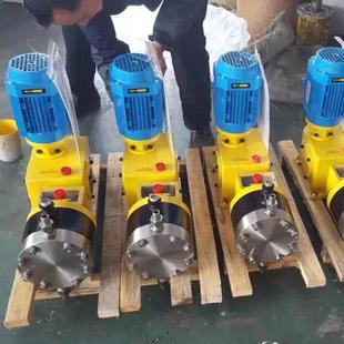 机械隔膜计量泵3.2液压柱塞计量泵柱塞计量泵304不锈钢计量泵