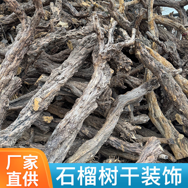 石榴树干支原木造型枯树干树枝带皮艺术干支招财橱窗落地装饰树枝