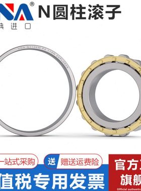 瑞典VNA进口圆柱滚子轴承 N202 203 204 205 206 207 208 209  EM