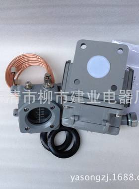 变压器主气体继电器QJ-25ATHQJ-50ATHQJ-80ATH瓦斯继电器整套