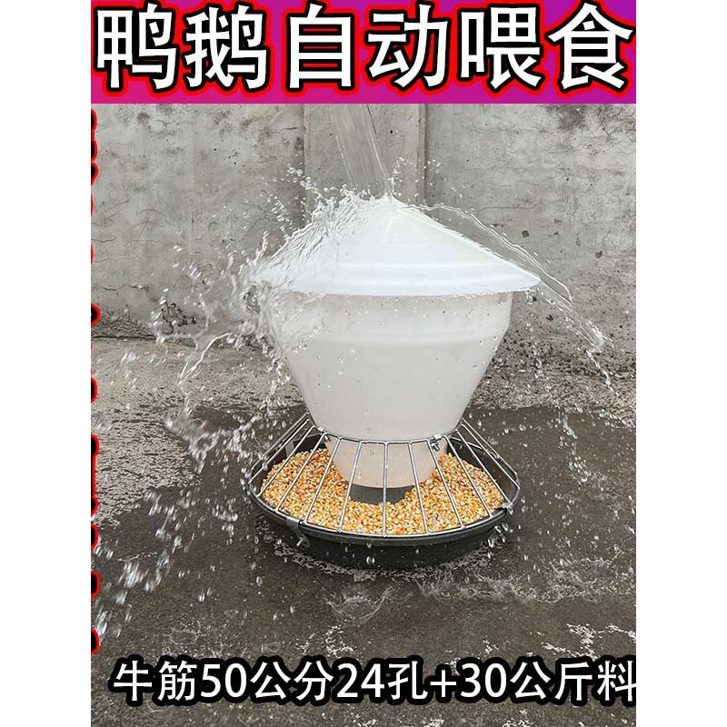 喂鸡食防撒鸡鸭鹅自动喂鸡食喂食家禽自动喂食