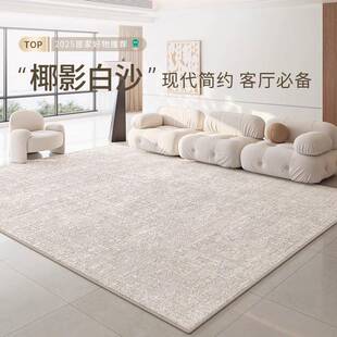 地毯客厅2025新款轻奢高级感加厚免洗可擦防水防污简约耐脏易打理