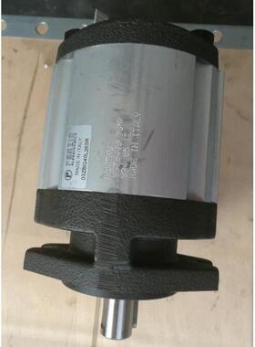 意大利RONZIO罗茨02ZCG25L441R高压齿轮泵液压马达选型参