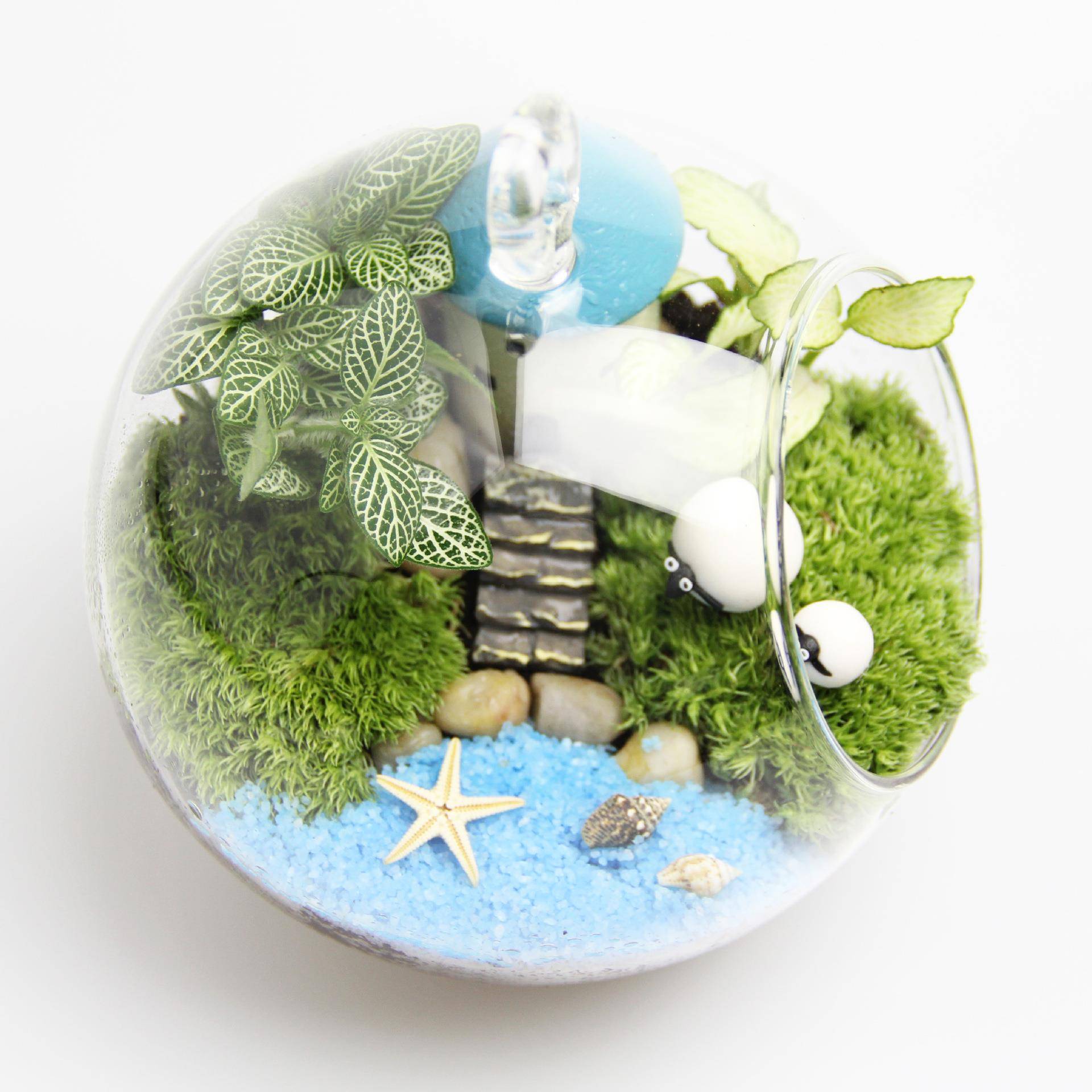 创意礼礼物苔藓景品观套装tz-20181微生态瓶材料包12cm圆底吊瓶