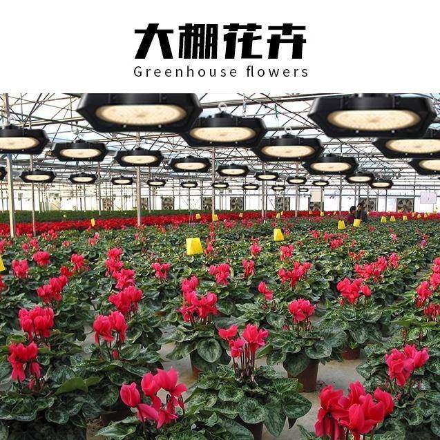 全光谱人仿太阳DYL模灯大棚拟补光照室内光led造蔬菜花卉植物生长