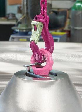 制德国进口KM110521定螺栓吊点吊环VFRS-路德带动固片旋转吊环索