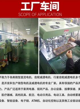 ZGBHGP11FH1流2V偏24V输出軸4直减速电机马达