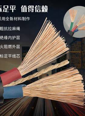 国标2芯足2.546平方电线电缆线3芯1.5户外防冻护套线电源线软线