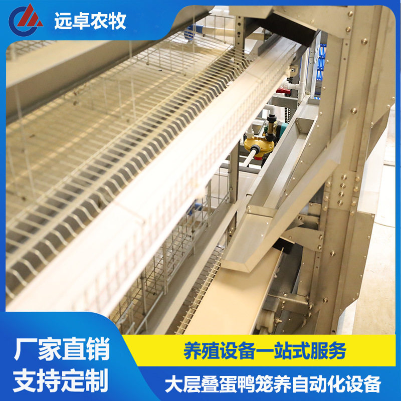 H型框架立体养殖江苏南通蛋鸭自动笼养五列八层叠蛋鸡养殖场设备
