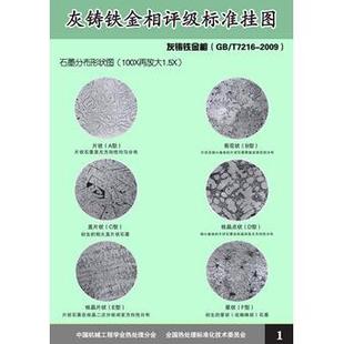 T9441 铸铁金相评级标准挂图 2009 T7216