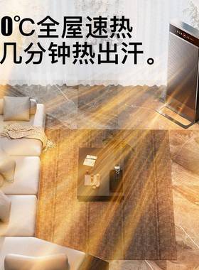 德国全屋取18047暖家用石墨烯能省电客厅电暖风别墅大面积静器音
