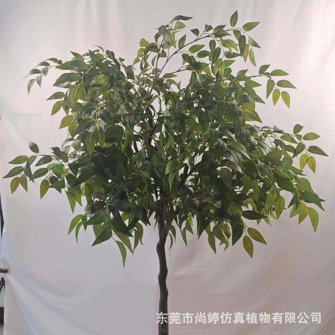仿真米榕落树盆栽真槐树仿仿真OCA枣树室内外装饰造景地摆件