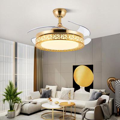 卧吊扇灯形52寸鸟巢隐扇46132客厅简约黑白色室吊灯智能餐厅风扇