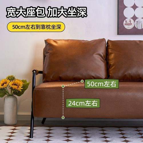 单人铁艺沙发客厅202户5小新款出租房BCF型小服装店复古风沙发沙