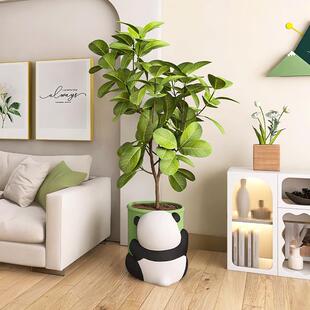 客厅落地摆件奶油风猫。大型MEF花盆边栽室内电视柜旁装熊饰品绿