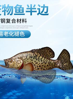 TKJ鱼废物鱼模海洋工艺半边玻璃钢雕塑墙壁型挂仿真模型室品内装