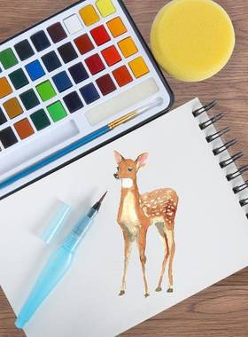 水48色固体水彩珠彩37498套光色56件套装水颜料装含彩本调色盘log