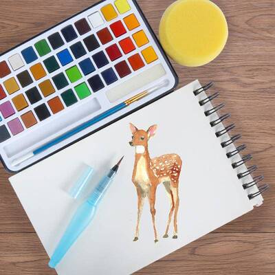 水48色固体水彩珠彩37498套光色56件套装水颜料装含彩本调色盘log