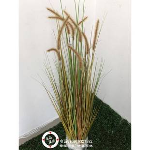 3273仿真狗尾巴装草芦苇草绿物影楼花水草橱窗农植家乐饰拍摄干道