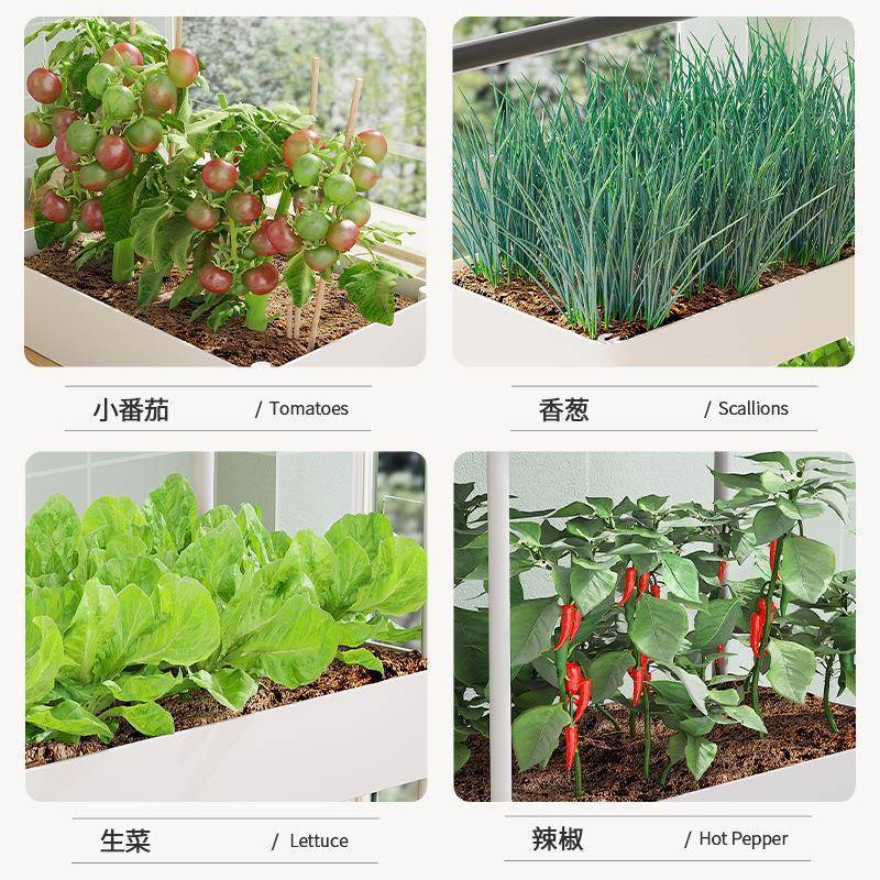 阳台多种菜ZCMZ01立体组合箱组层合植顶菜架莓盆室内种花楼架
