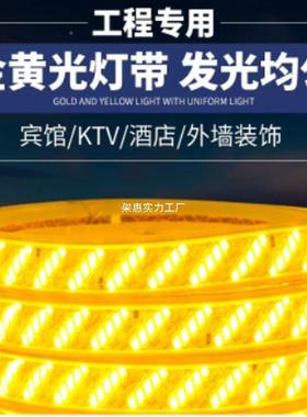 220v14569户外灯led超亮屋防水室客厅檐外墙灯条工程外带暖光暖色