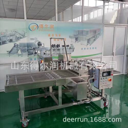 DR-800型天妇罗上浆机 自动裹面糊机械 小黄鱼挂浆裹粉机设备价格