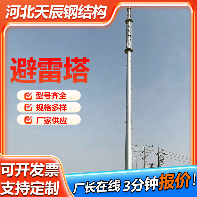 10米避雷塔杆避雷塔厂家古建筑防雷保护自立式热镀锌钢管避雷针