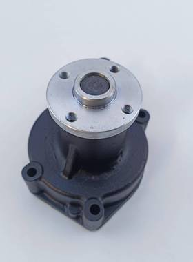 斗山叉32-3吨.D30F/D0NXV潍柴车WP32发动机冷却EMV循环水泵总成