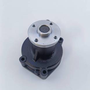 斗山叉32-3吨.D30F/D0NXV潍柴车WP32发动机冷却EMV循环水泵总成
