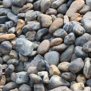 白球石毛杂456石河堤雨花石鹅卵石园林草沙砾石铺路树木黑花建材