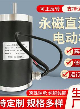 直流永型电73ZYT010-24V-80740机00RPM微微型直流永磁电机磁防水