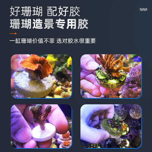 迈光Maxspect珊瑚造景胶水族箱装专用断肢啫喱胶粘珊瑚活石可水下