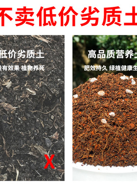 营养土云南腾火山岩土山乌龟养花专用通用型多肉盆栽植物种菜花肥