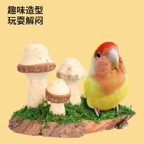 优嗖鹦鹉玩具天然健康鸟笼造景蘑菇站台天然风格啃咬小宠仓鼠造景