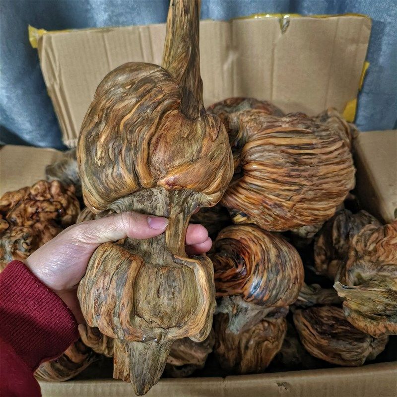 松明木琥珀木天然原木风化木摆件土沉香文玩手把件陈化料高油性