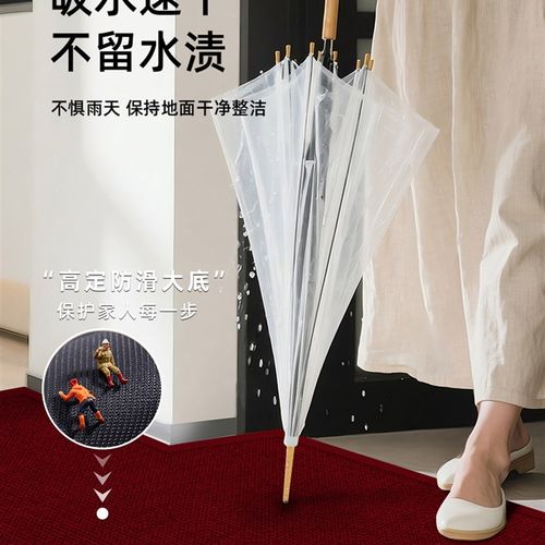 红色高级感入户门地垫室内玄关免洗可擦脚垫进门门口加厚防滑地毯