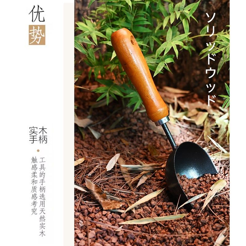 黄缘龟箱环境造景专用铁铲子沙铲松土用爬宠箱种花草植物清洁工具,宠物/宠物食品及用品,爬宠清洁及日用品,淘宝优惠券,粉丝福利购,淘宝优惠卷