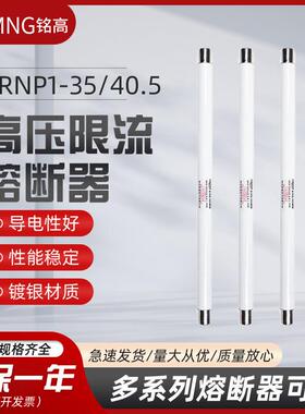 XRNP1-35-40.5/0.5A-31.5KA-1A2A3.15A互感器保护用高压限流熔断