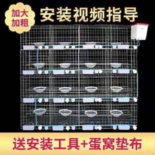 安徽白鸽笼12位16位养殖镀锌配对笼型号齐全品质好的种鸽笼具